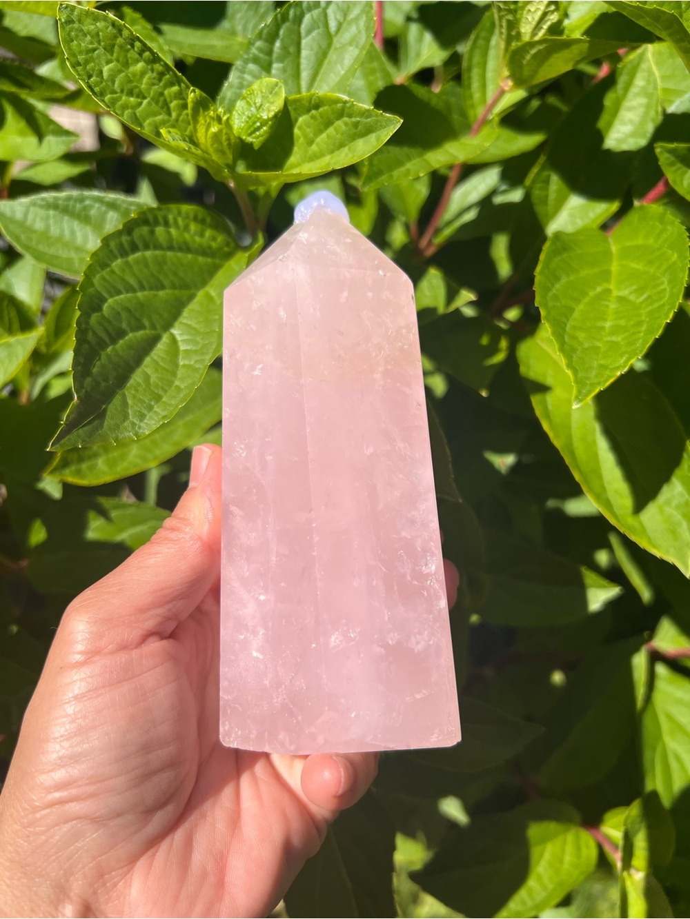 Rose (4) Quartz Tower - Crystal